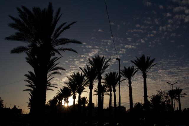 IMG_2485