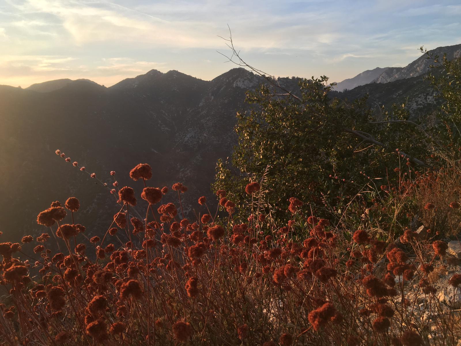 San Gabriels alpenglow