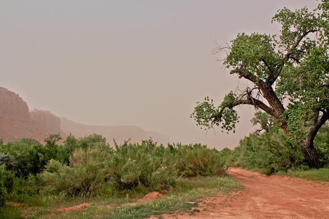 Dust Storm